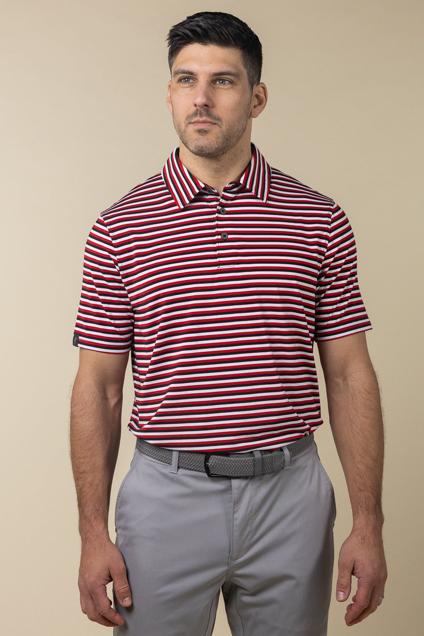 Ivy Stripe Polo