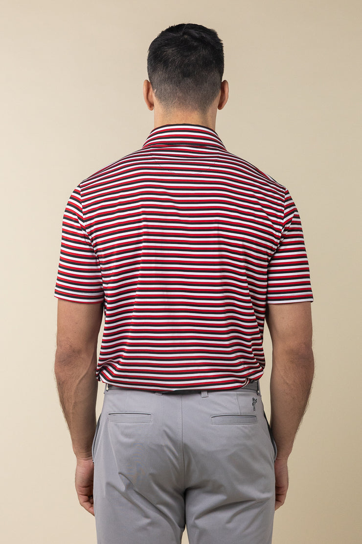Ivy Stripe Polo