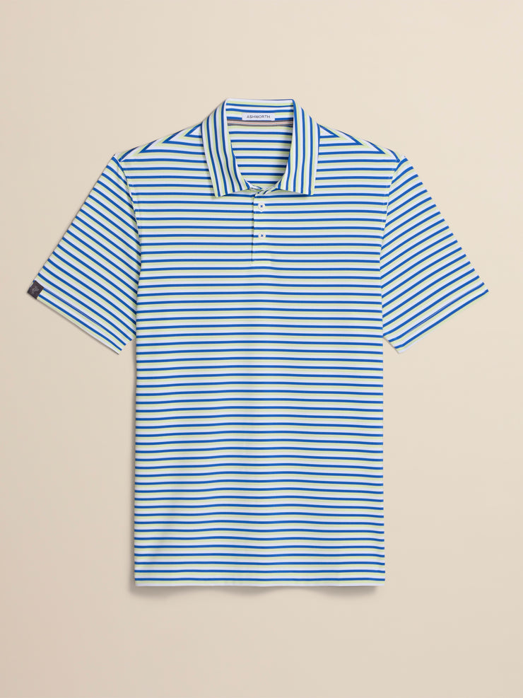Ivy Stripe Polo