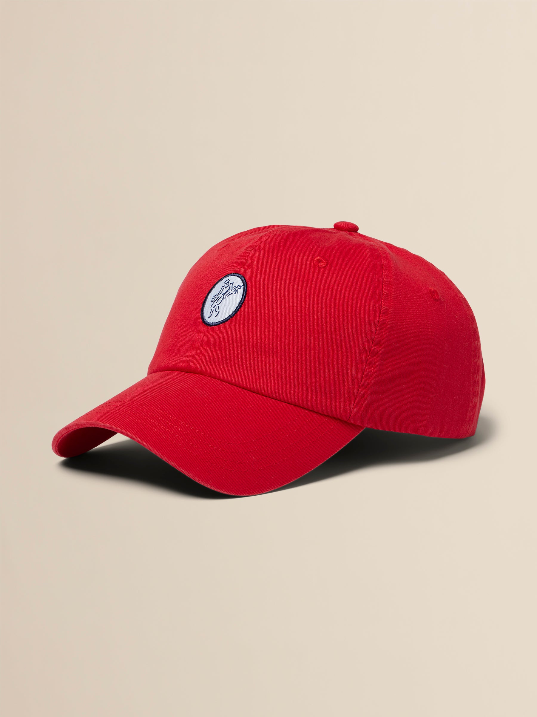Washed Twill Cap