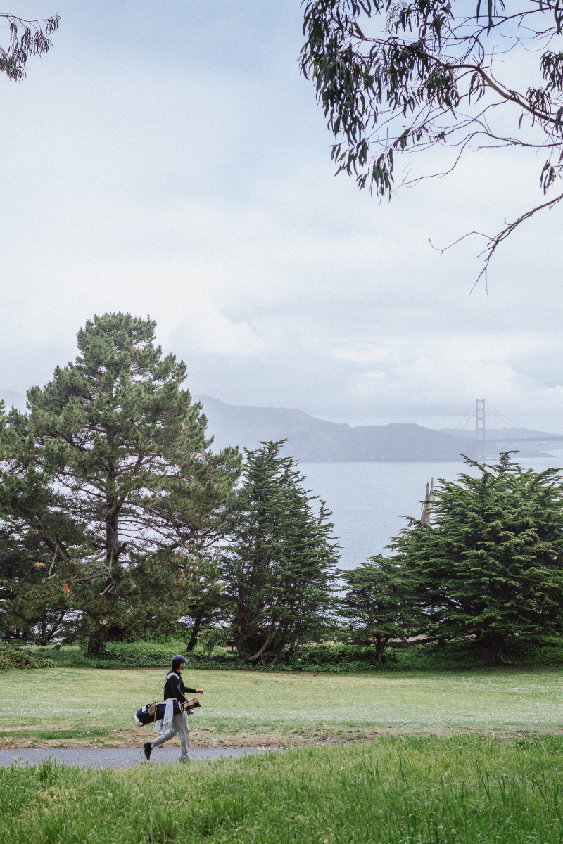 WELCOME FALL hero image