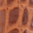 Embossed Croc Golfman Belt