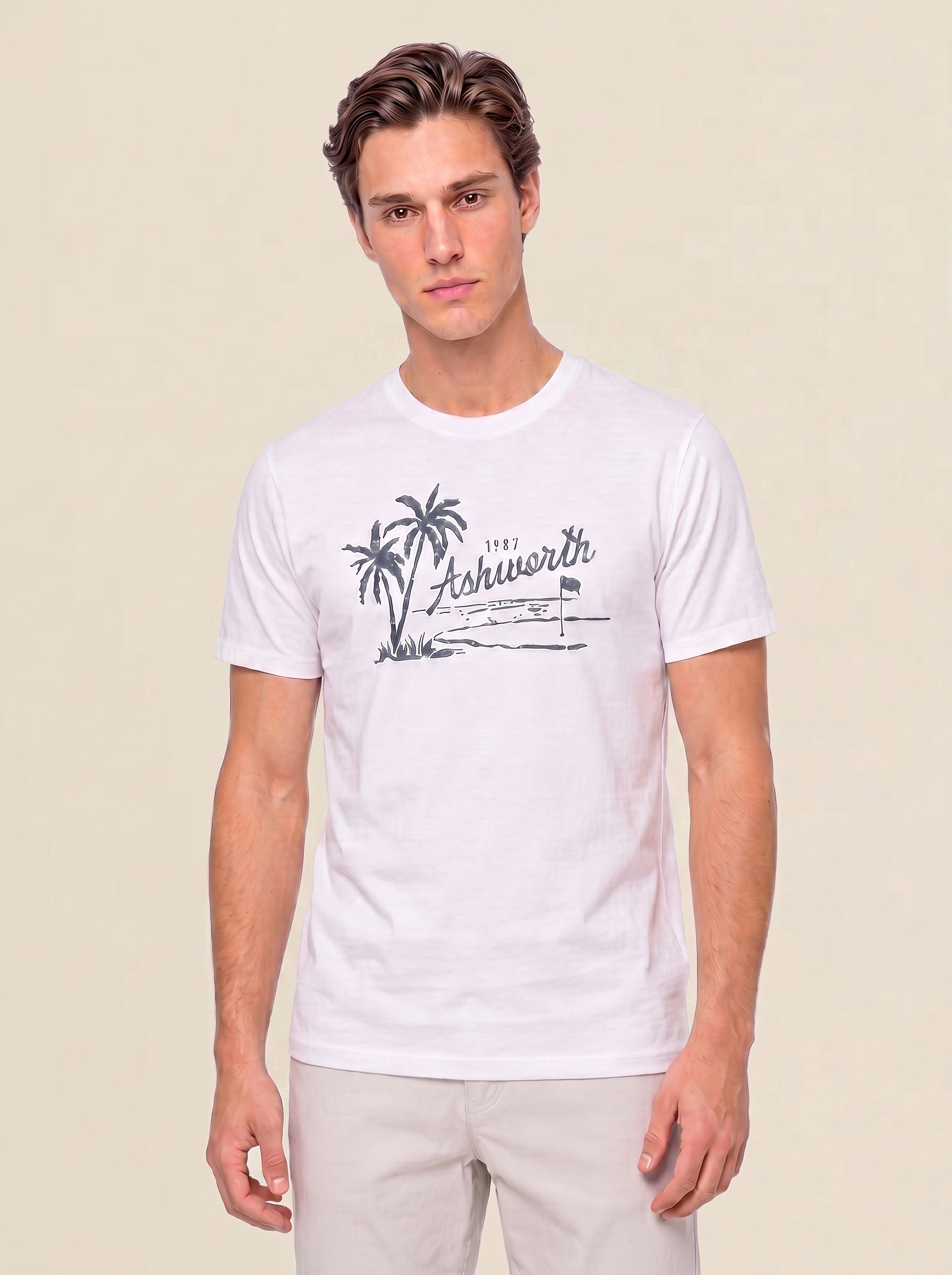 Ashworth Island Tee